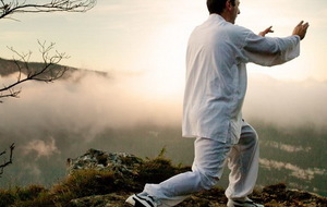 Stage Taeggukwon / Sénart