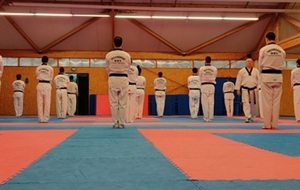 Stage Ceintures Noires (à confirmer)