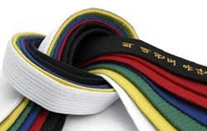 Passage de Grade - TKD