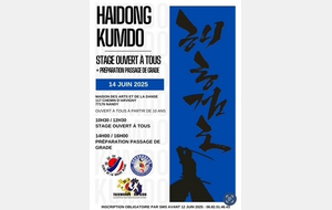 Initiation Haidong Kumdo
