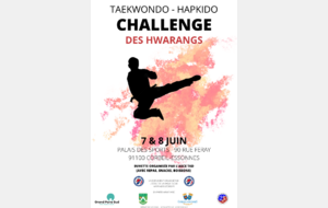 Challenge des Hwarangs 2025