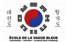 Taegeuk AEVB - Drapeau 2m x 3m